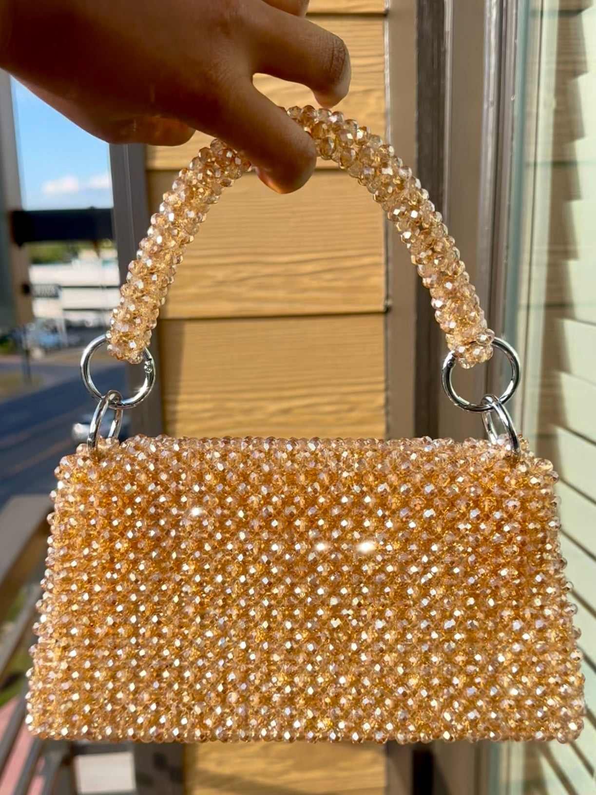 Oluchi’s Classic Outline Bag (champagne/silver rush)