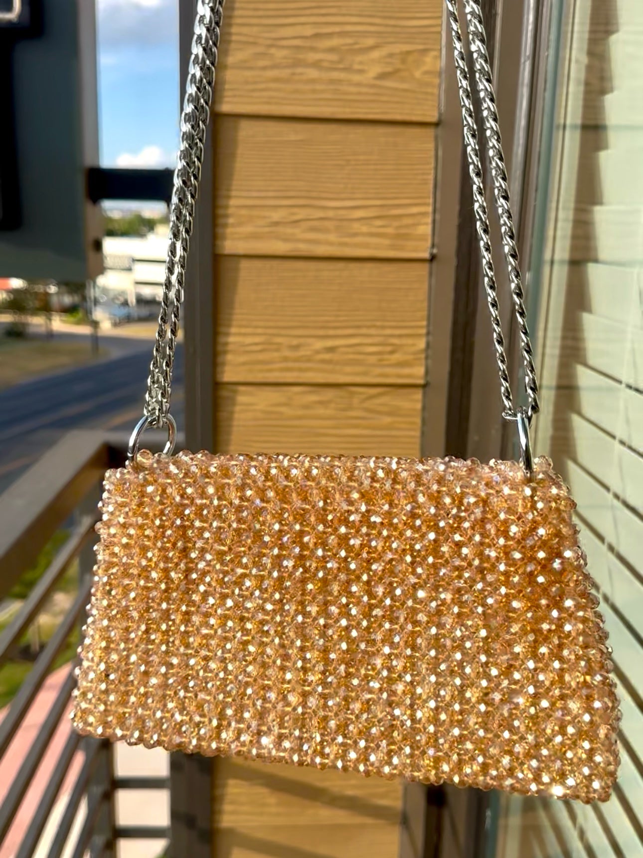 Oluchi’s Classic Outline Bag (champagne/silver rush)