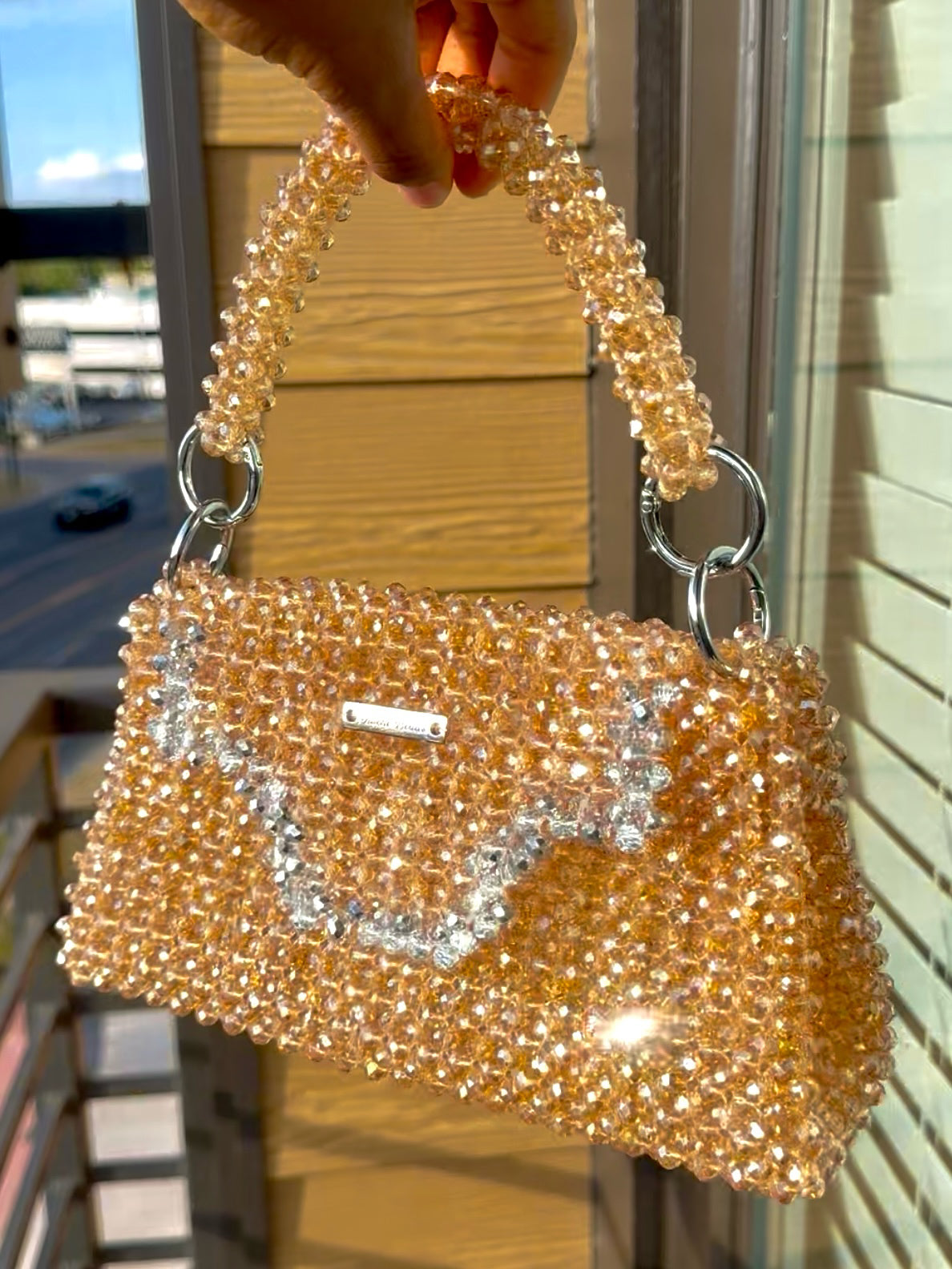 Oluchi’s Classic Outline Bag (champagne/silver rush)