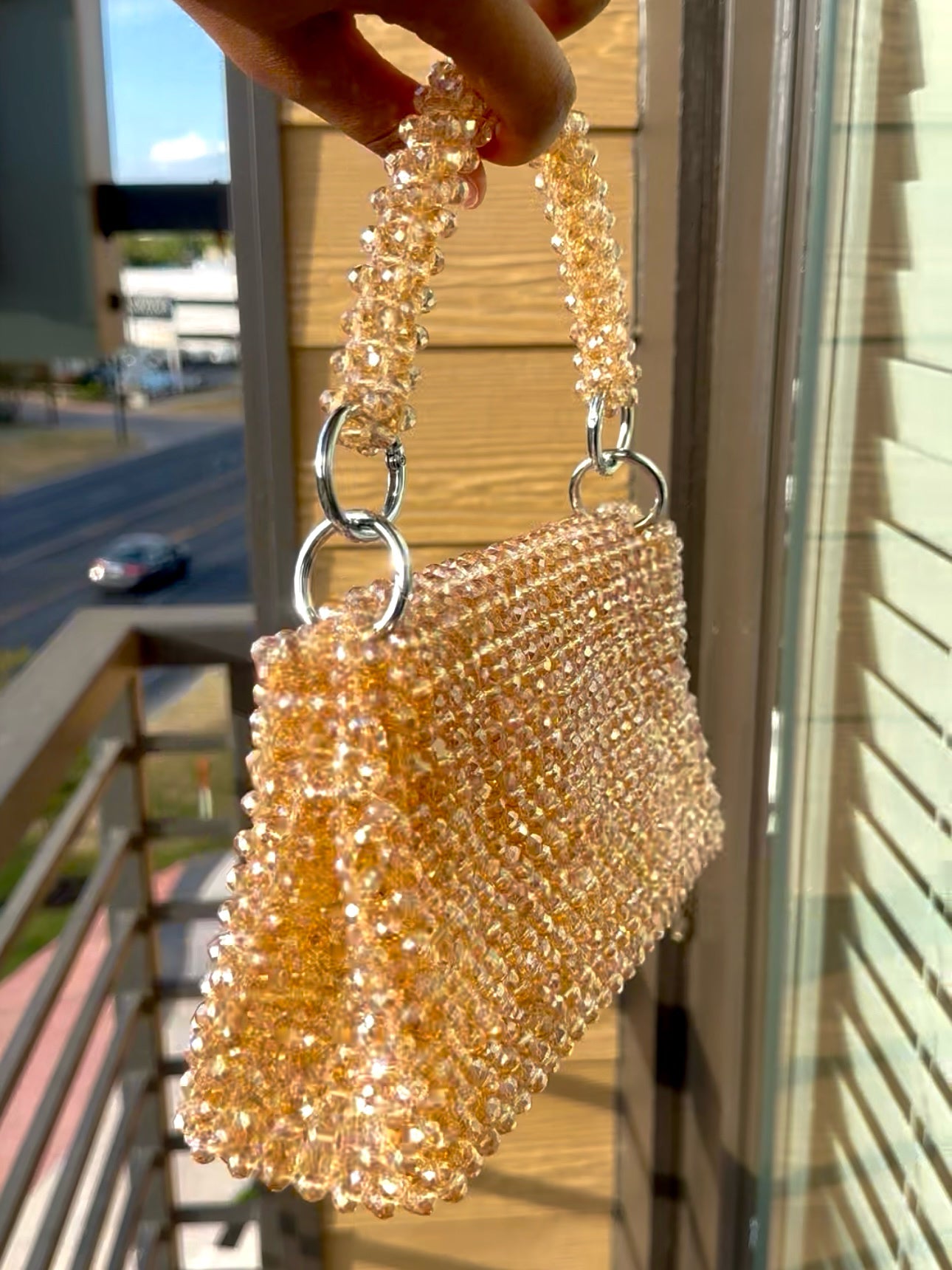 Oluchi’s Classic Outline Bag (champagne/silver rush)